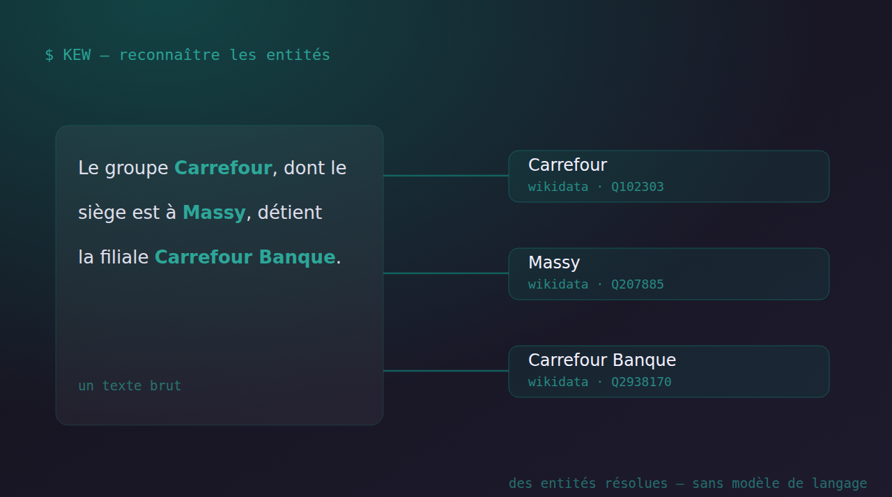 Schéma : un texte brut, et les entités rattachées à Wikidata.
